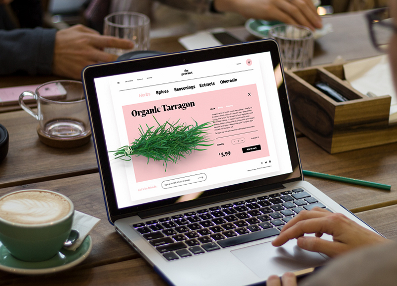 Quality Of Web Design Services And Marketing Strategy