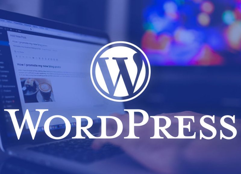 Why WordPress Is The Most Popular CMS Nowadays