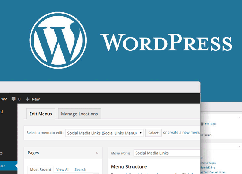 A Guide To Increase The Speed Of Your WordPress Website